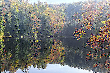 Herbststimmung im Bayerischen Wald